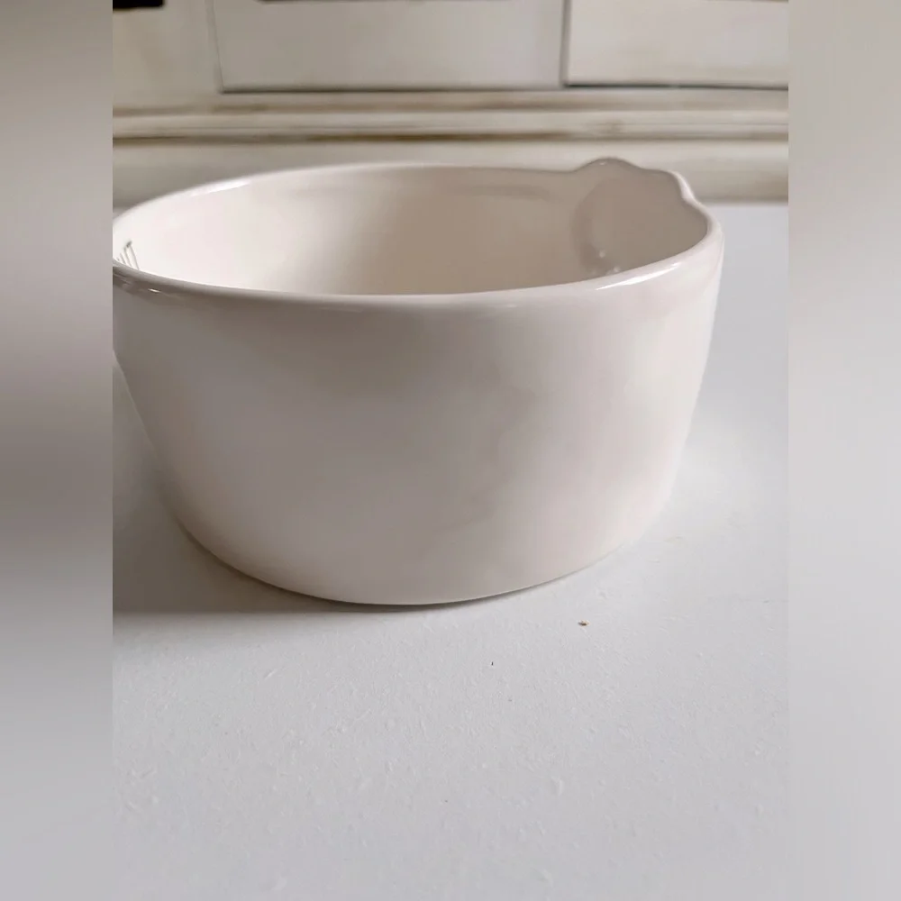 RAE DUNN Snoopy Peanuts Dog Bowl 